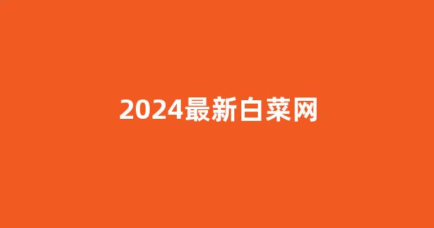 华人策略网站